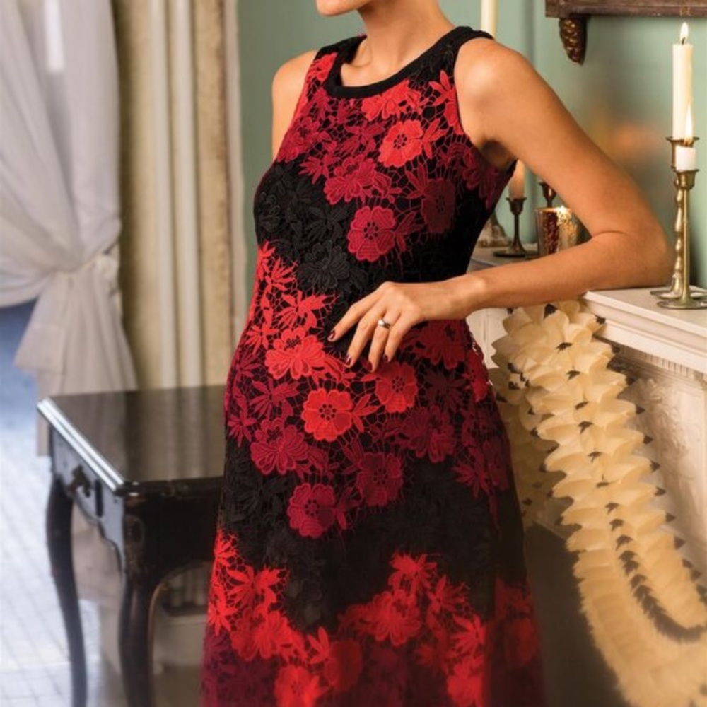 Taylor Lace Black and Red Maternity dress